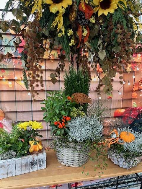 AUTOMNE 2025 11