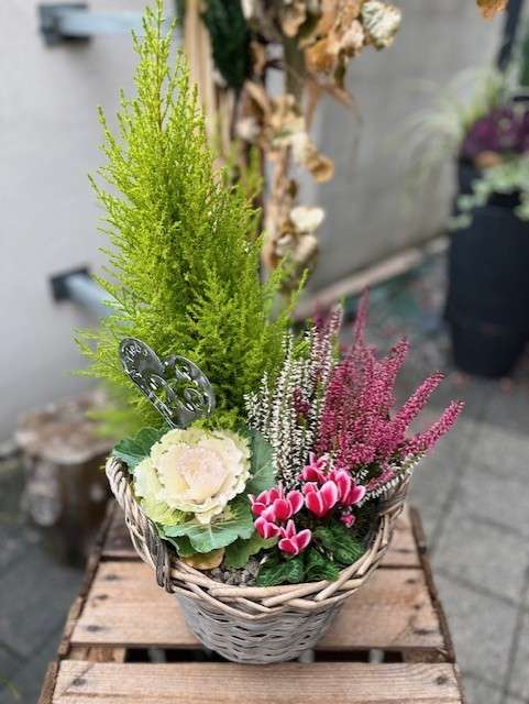 AUTOMNE 2025 14