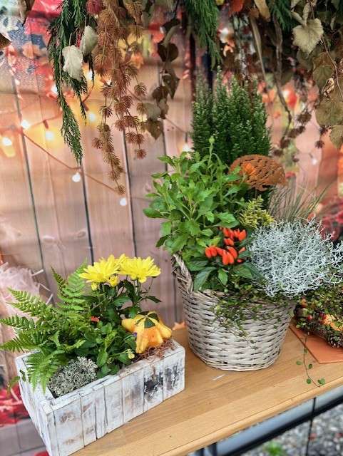 AUTOMNE 2025 2