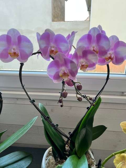 F3